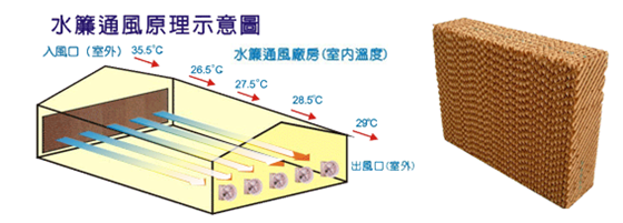 &#21338;&#40060;&#23448;&#26041;&#32593;&#39029;&#29256;&#45;&#21338;&#40060;&#40;&#20013;&#22269;&#41;